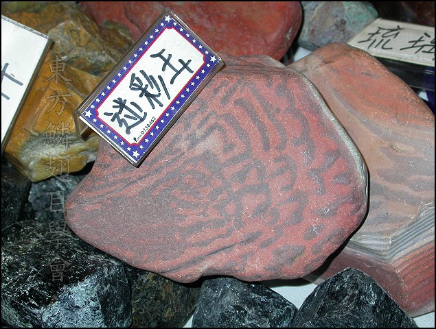 «ö¦¹¦b·sµøµ¡ÂsÄý¹Ï¤ù