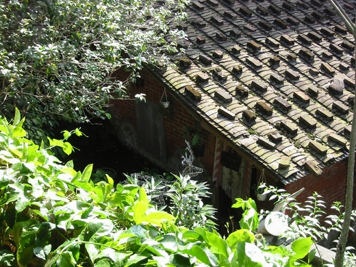 按此在新視窗瀏覽圖片