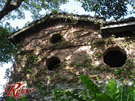 按此在新視窗瀏覽圖片