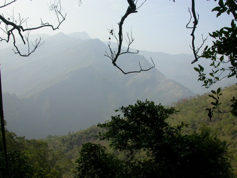 按此在新視窗瀏覽圖片