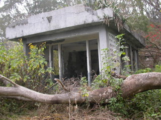 按此在新視窗瀏覽圖片