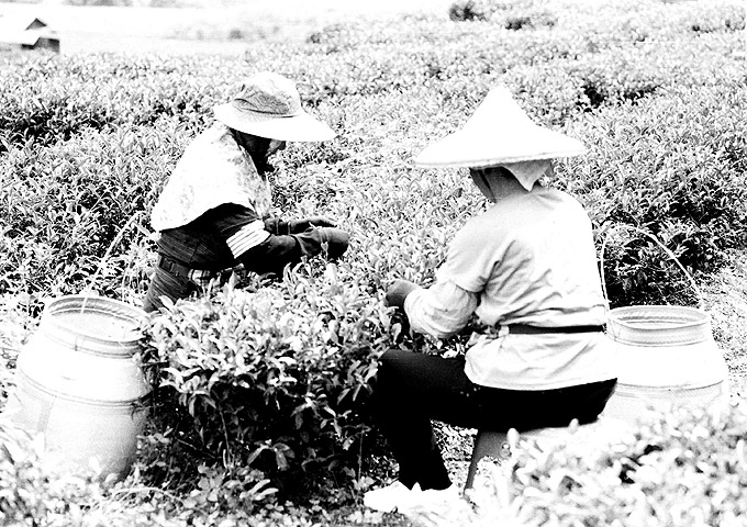 按此在新視窗瀏覽圖片