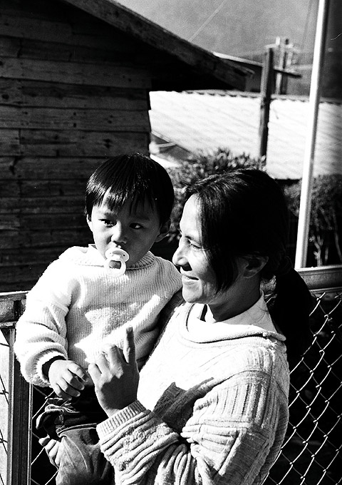 按此在新視窗瀏覽圖片