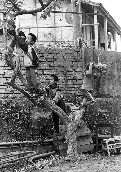 按此在新視窗瀏覽圖片