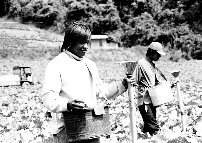 按此在新視窗瀏覽圖片