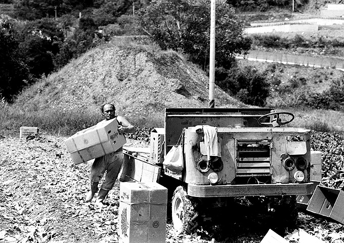 按此在新視窗瀏覽圖片