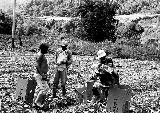 按此在新視窗瀏覽圖片