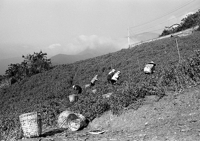 按此在新視窗瀏覽圖片