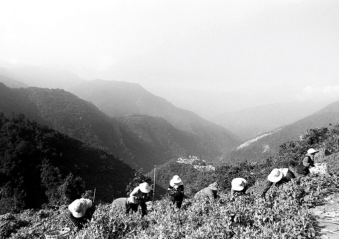 按此在新視窗瀏覽圖片