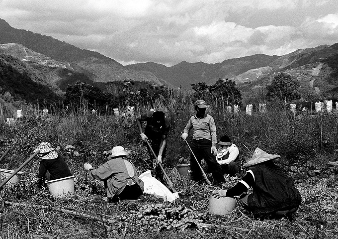 按此在新視窗瀏覽圖片