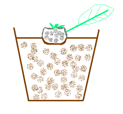 «ö¦¹¦b·sµøµ¡ÂsÄý¹Ï¤ù