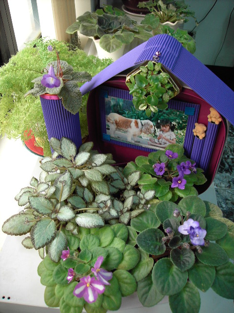 按此在新視窗瀏覽圖片