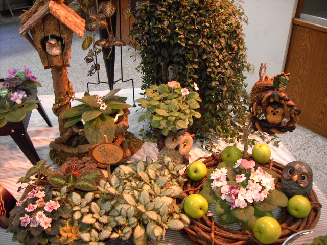 按此在新視窗瀏覽圖片