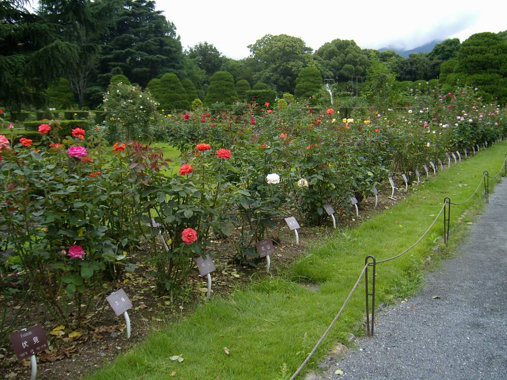 «ö¦¹¦b·sµøµ¡ÂsÄý¹Ï¤ù