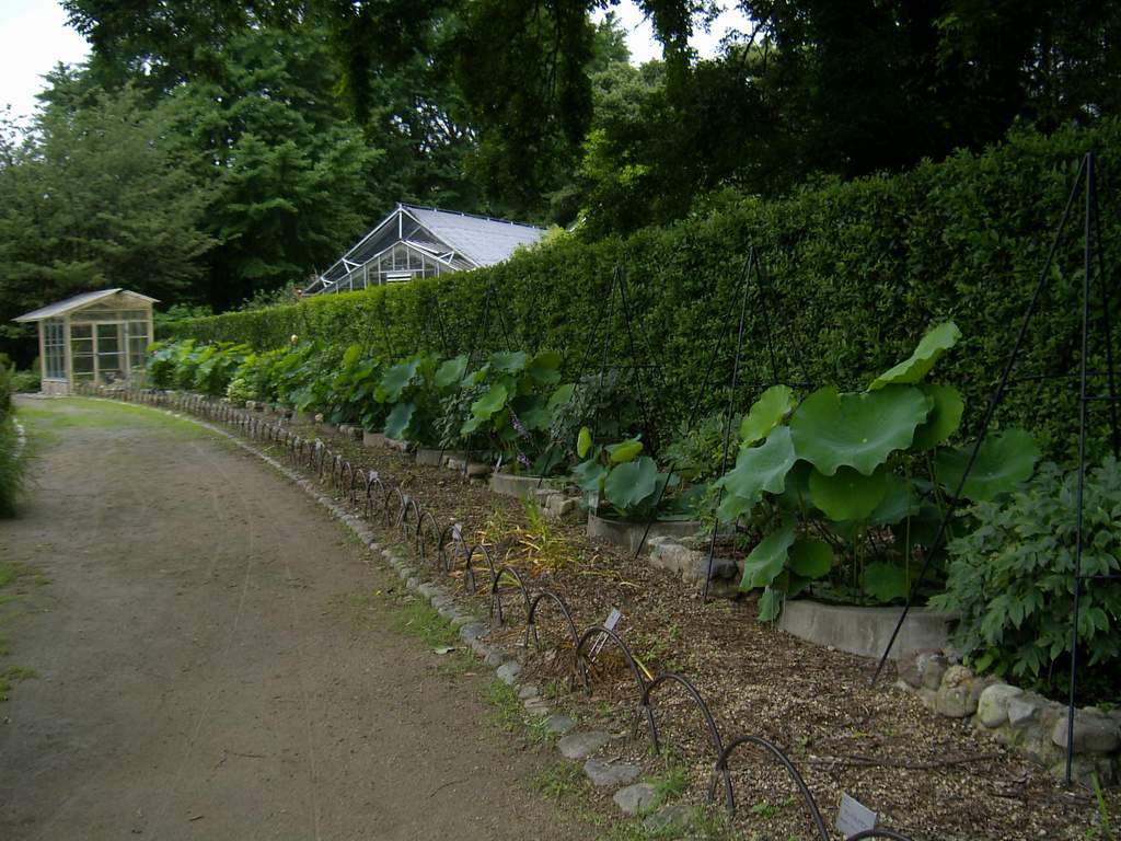 «ö¦¹¦b·sµøµ¡ÂsÄý¹Ï¤ù