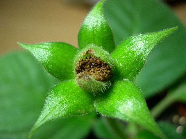 «ö¦¹¦b·sµøµ¡ÂsÄý¹Ï¤ù