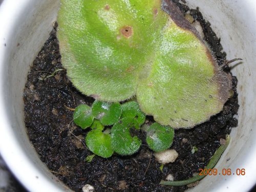 «ö¦¹¦b·sµøµ¡ÂsÄý¹Ï¤ù