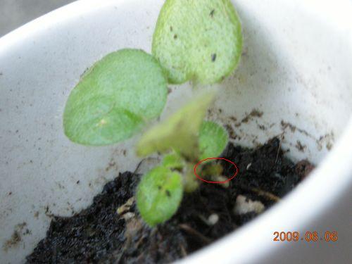 «ö¦¹¦b·sµøµ¡ÂsÄý¹Ï¤ù