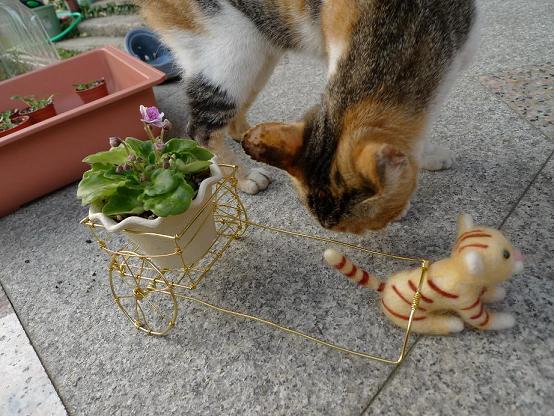 «ö¦¹¦b·sµøµ¡ÂsÄý¹Ï¤ù