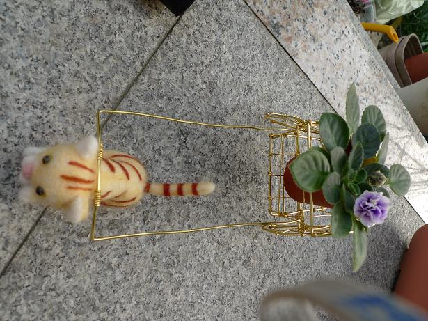 «ö¦¹¦b·sµøµ¡ÂsÄý¹Ï¤ù