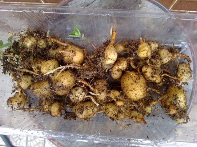 «ö¦¹¦b·sµøµ¡ÂsÄý¹Ï¤ù