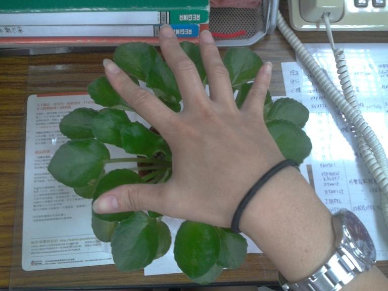 按此在新視窗瀏覽圖片