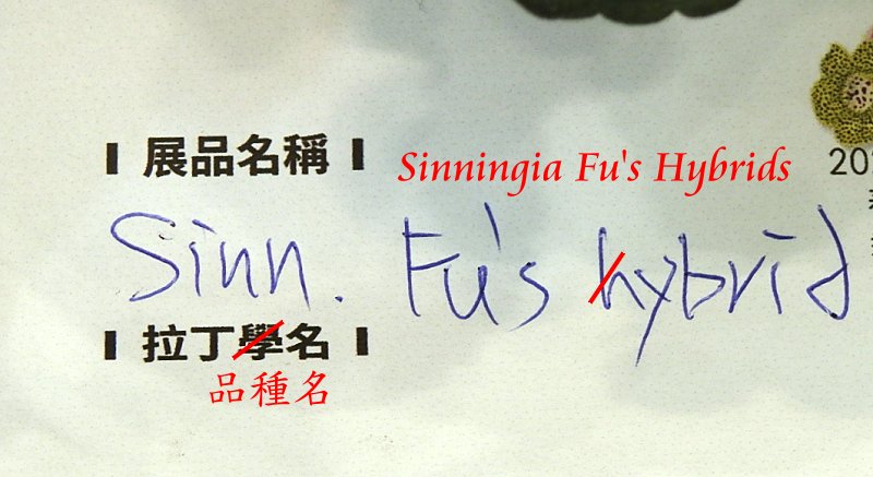 «ö¦¹¦b·sµøµ¡ÂsÄý¹Ï¤ù