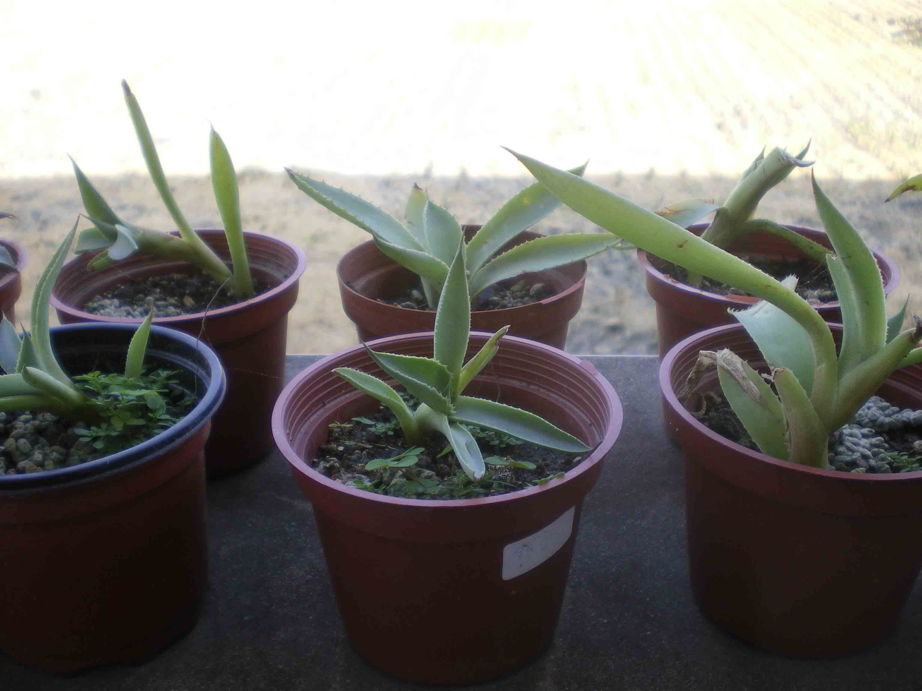 «ö¦¹¦b·sµøµ¡ÂsÄý¹Ï¤ù