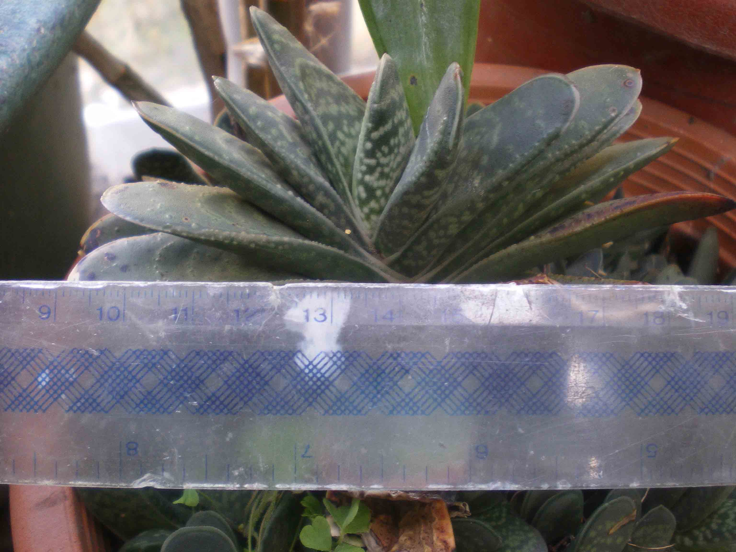 «ö¦¹¦b·sµøµ¡ÂsÄý¹Ï¤ù