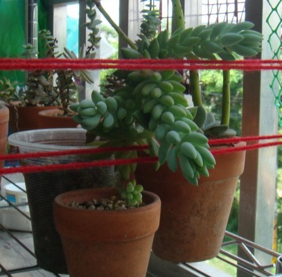 «ö¦¹¦b·sµøµ¡ÂsÄý¹Ï¤ù