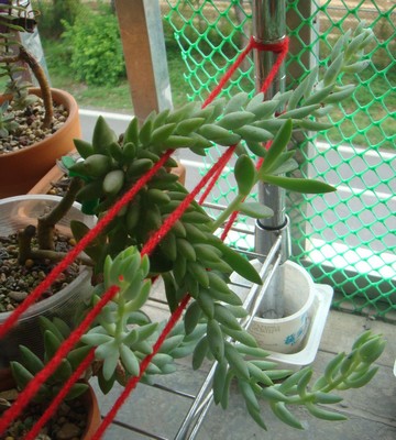 «ö¦¹¦b·sµøµ¡ÂsÄý¹Ï¤ù