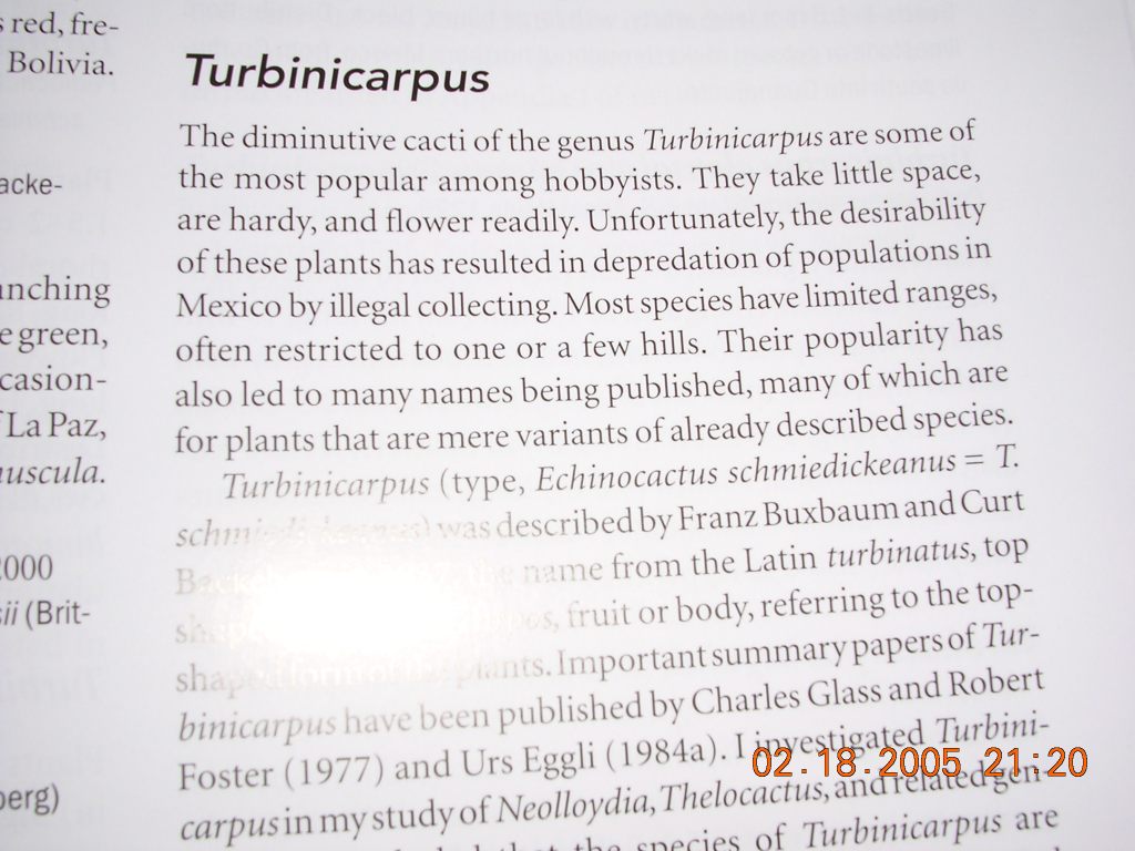 «ö¦¹¦b·sµøµ¡ÂsÄý¹Ï¤ù