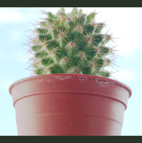 «ö¦¹¦b·sµøµ¡ÂsÄý¹Ï¤ù