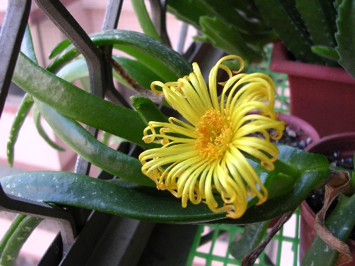 «ö¦¹¦b·sµøµ¡ÂsÄý¹Ï¤ù