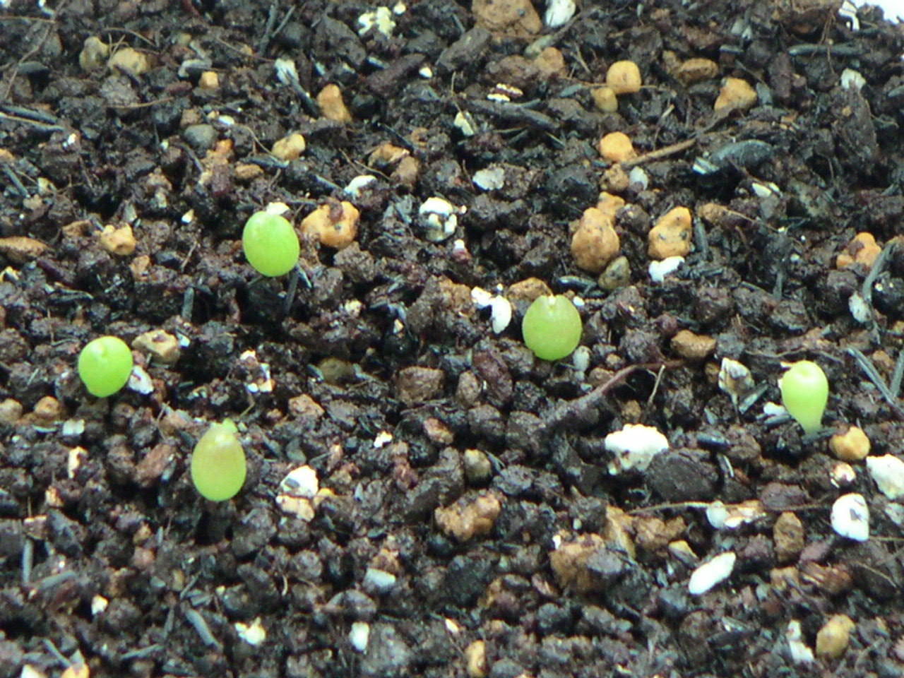 «ö¦¹¦b·sµøµ¡ÂsÄý¹Ï¤ù