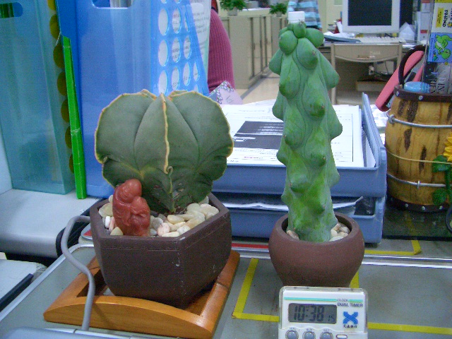 «ö¦¹¦b·sµøµ¡ÂsÄý¹Ï¤ù