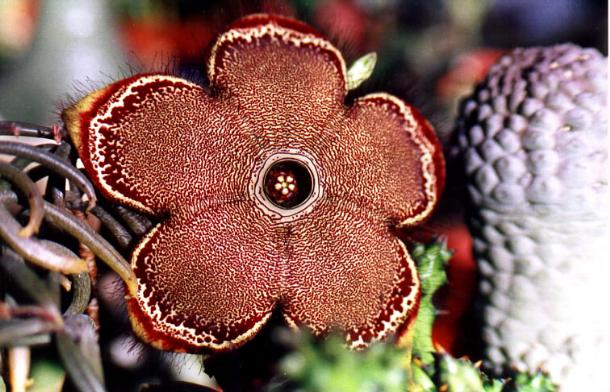 按此在新視窗瀏覽圖片