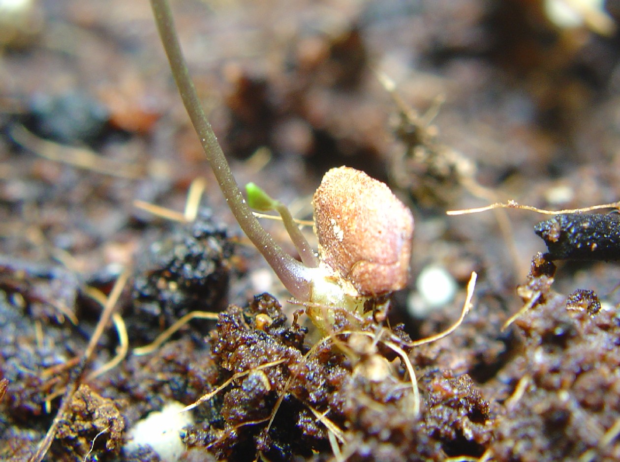 «ö¦¹¦b·sµøµ¡ÂsÄý¹Ï¤ù