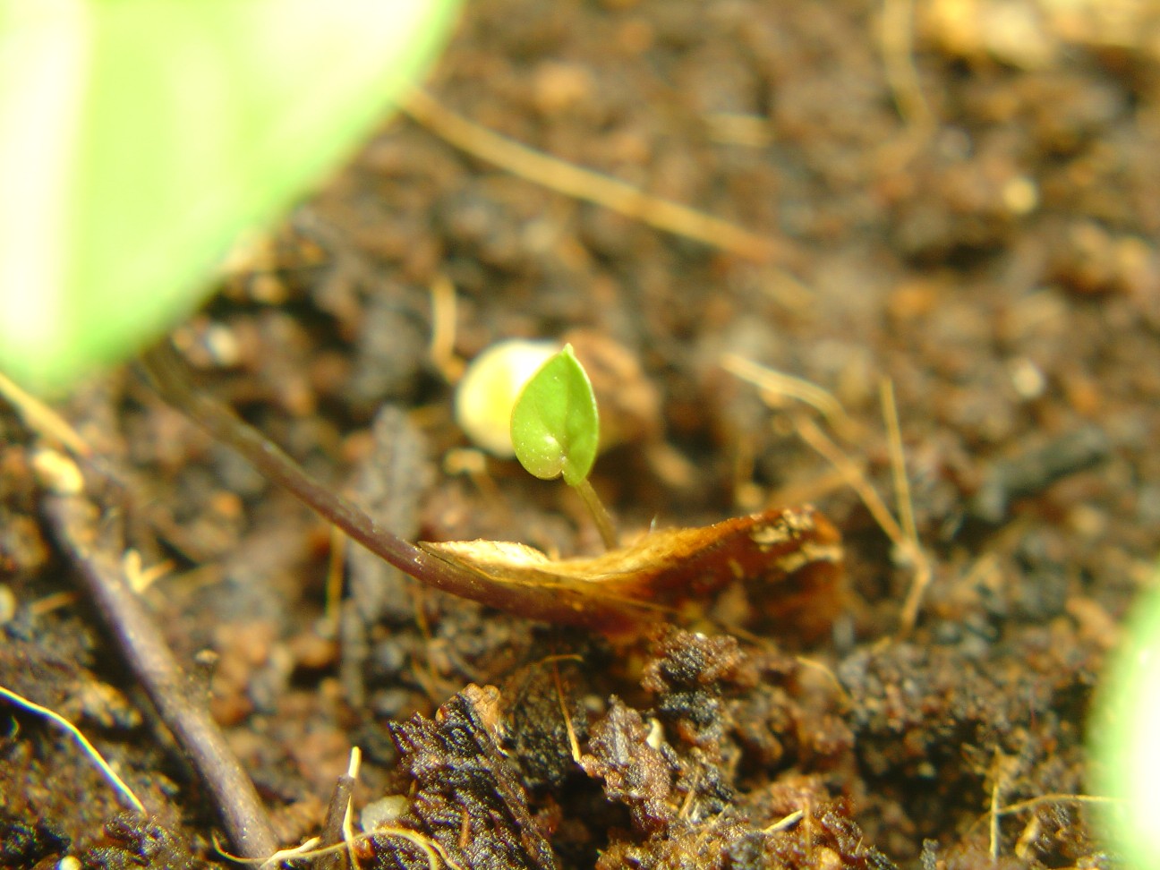 «ö¦¹¦b·sµøµ¡ÂsÄý¹Ï¤ù