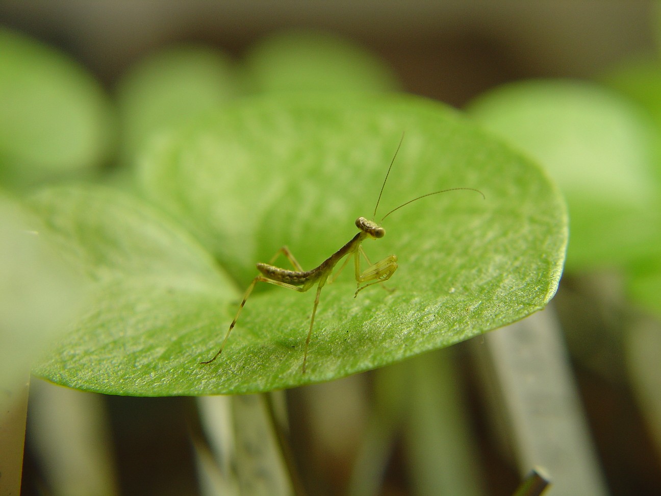 «ö¦¹¦b·sµøµ¡ÂsÄý¹Ï¤ù