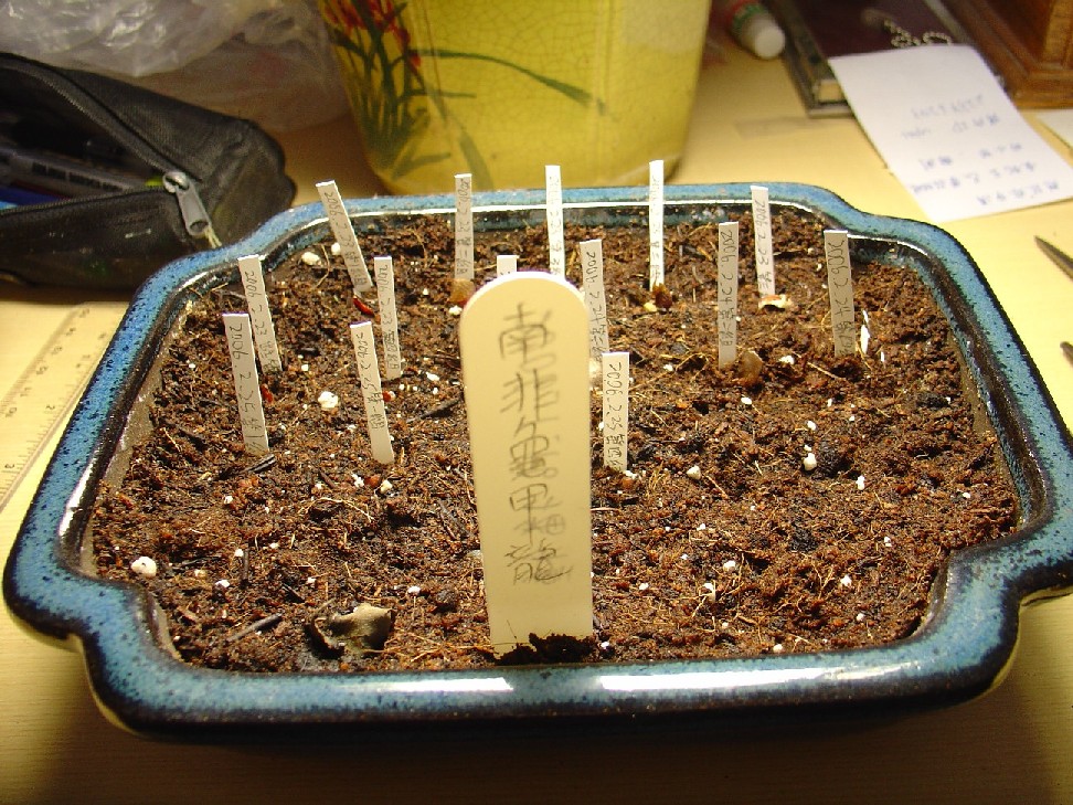 «ö¦¹¦b·sµøµ¡ÂsÄý¹Ï¤ù