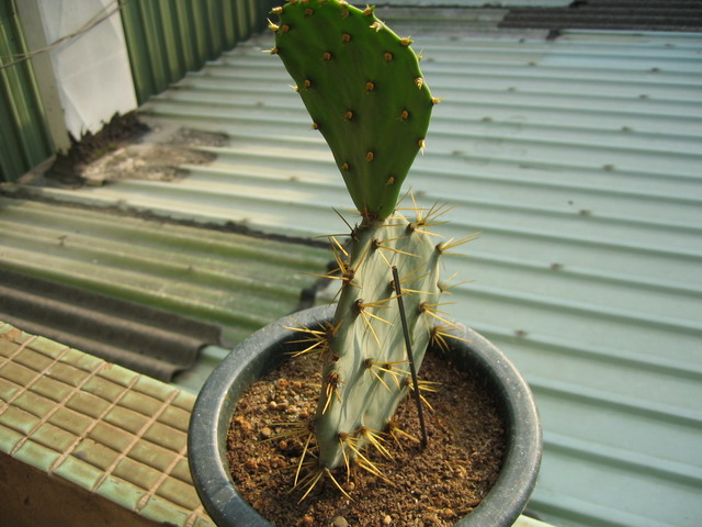 «ö¦¹¦b·sµøµ¡ÂsÄý¹Ï¤ù