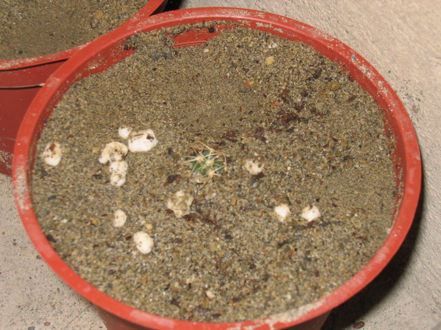 «ö¦¹¦b·sµøµ¡ÂsÄý¹Ï¤ù