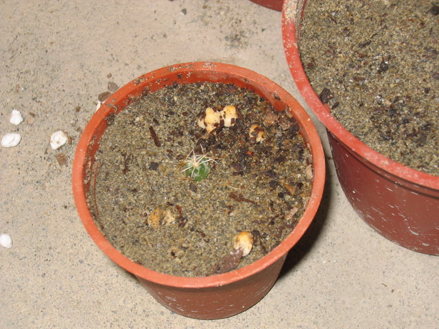 «ö¦¹¦b·sµøµ¡ÂsÄý¹Ï¤ù