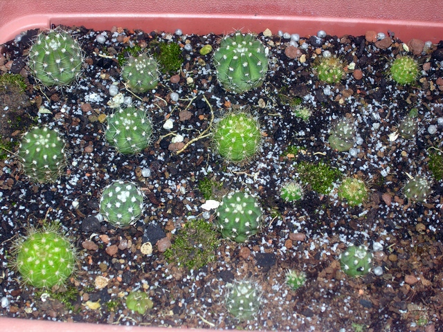 «ö¦¹¦b·sµøµ¡ÂsÄý¹Ï¤ù