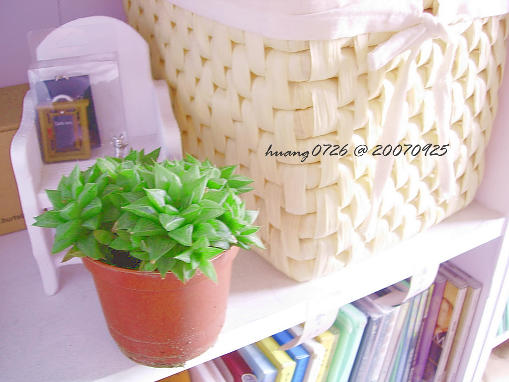 «ö¦¹¦b·sµøµ¡ÂsÄý¹Ï¤ù