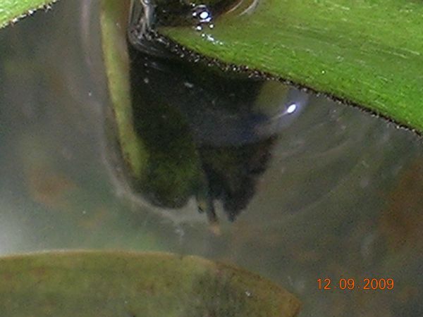 «ö¦¹¦b·sµøµ¡ÂsÄý¹Ï¤ù