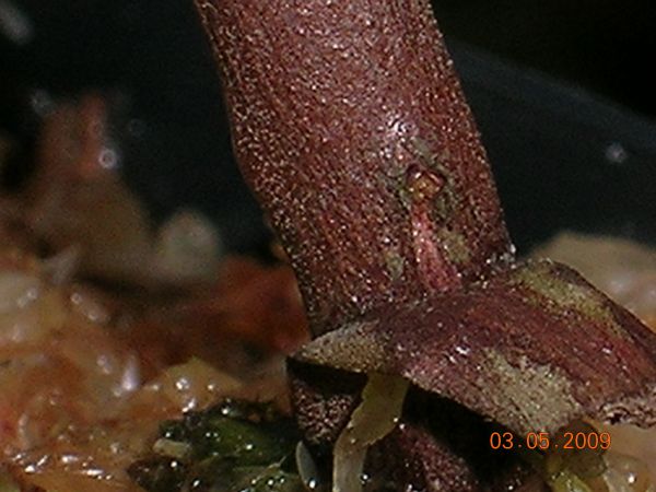 «ö¦¹¦b·sµøµ¡ÂsÄý¹Ï¤ù