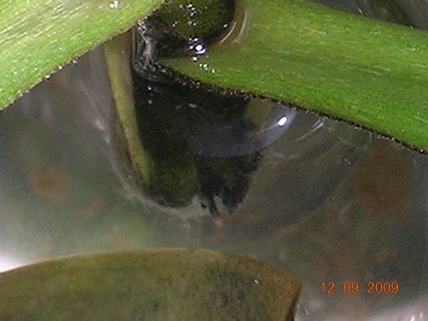 «ö¦¹¦b·sµøµ¡ÂsÄý¹Ï¤ù