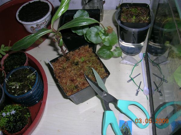 «ö¦¹¦b·sµøµ¡ÂsÄý¹Ï¤ù